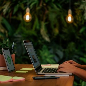 Contenido de Nicho: Guía SEO en Costa Rica